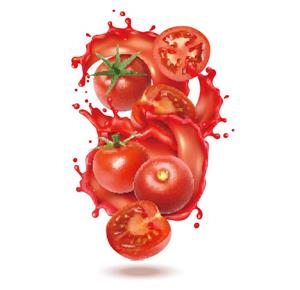 矢量食品果蔬-矢量番茄蔬菜素材